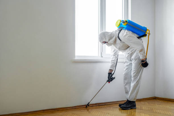Best Local Pest Control Services  in Weaverville, NC