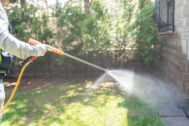 Best Affordable Exterminators  in Weaverville, NC