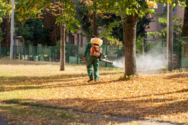Best Bed Bug Extermination  in Weaverville, NC