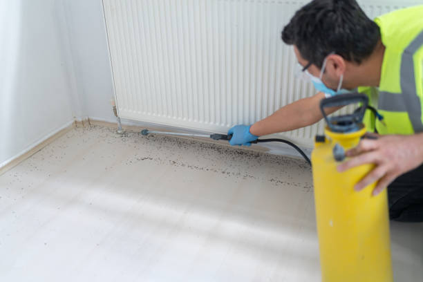 Best Pest Control Treatment  in Weaverville, NC